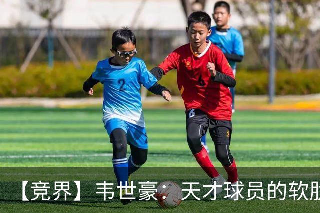 【竞界】韦世豪：天才球员的软肋 洪七公效应的外溢